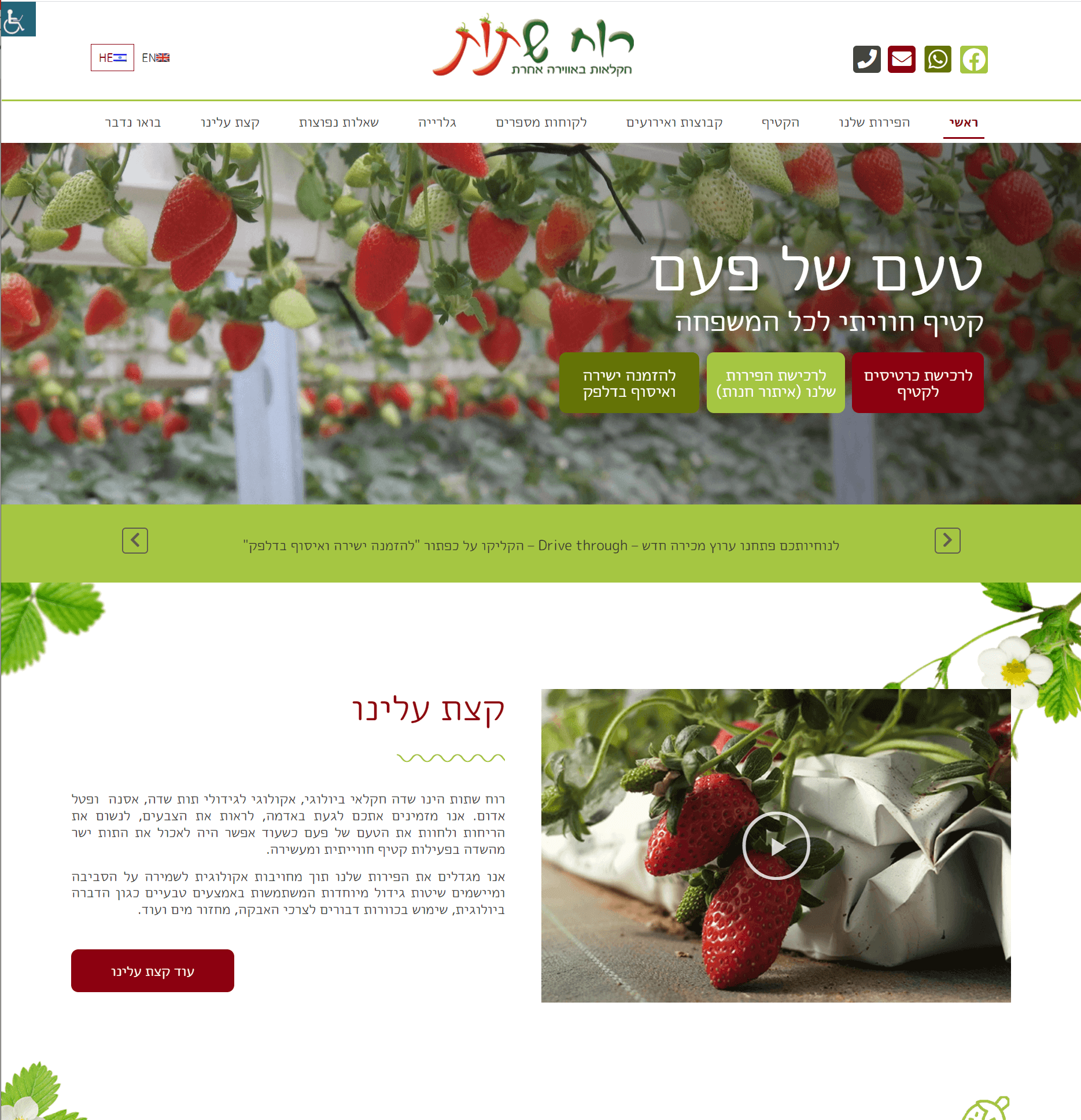 RBS NFT art preview 6